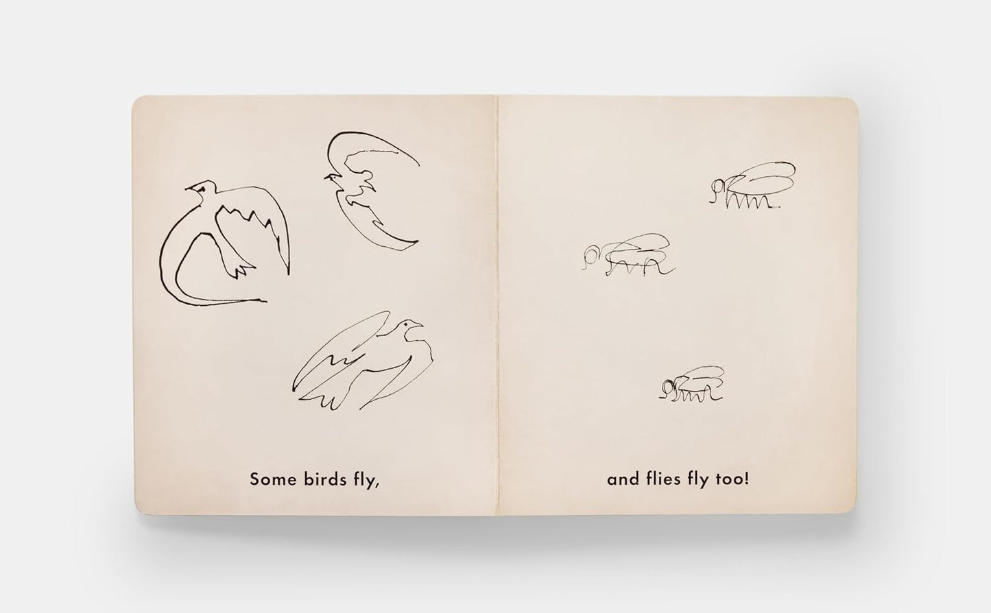 Birds & Other Animals: with Pablo Picasso (First Concepts with Fine Artists)