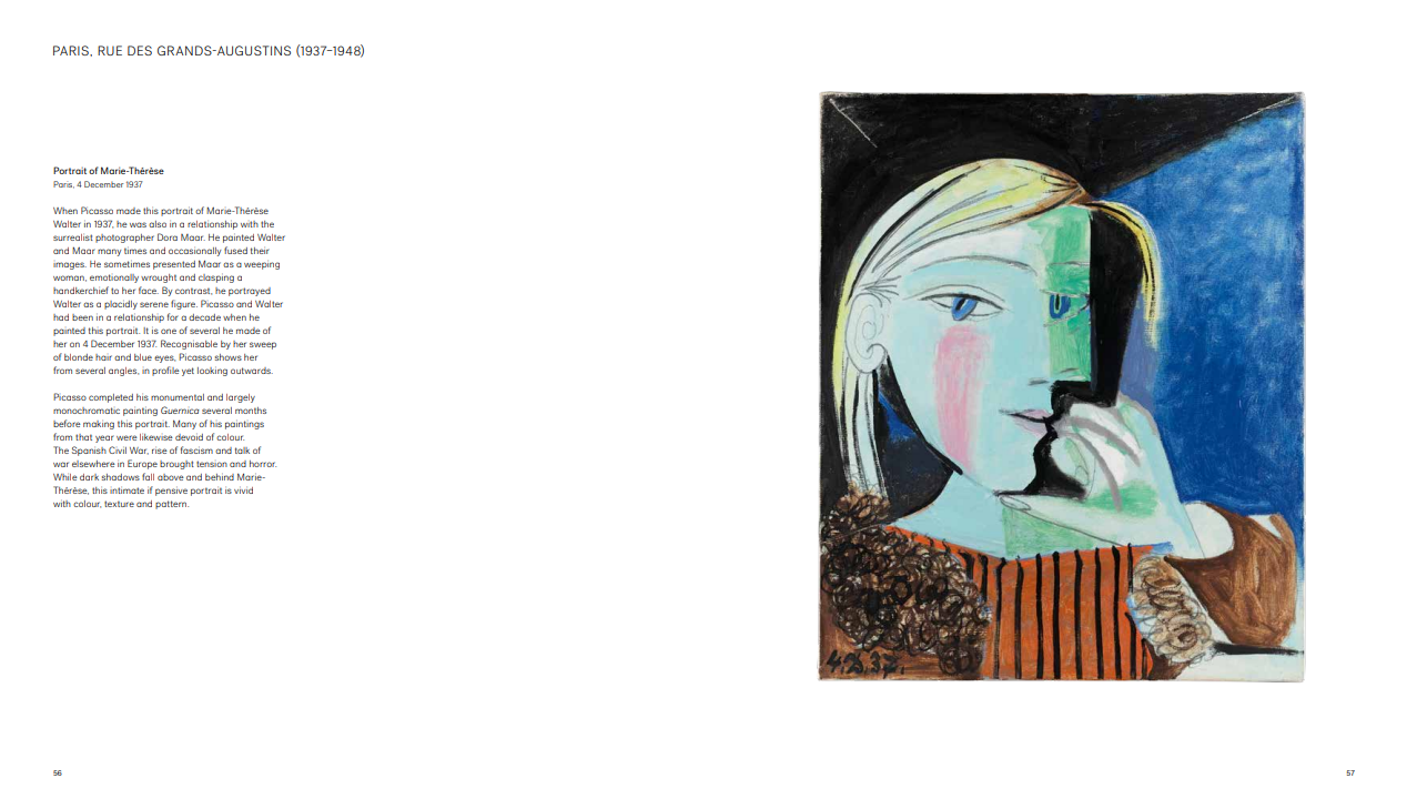 Picasso: From the Studio Companion Book