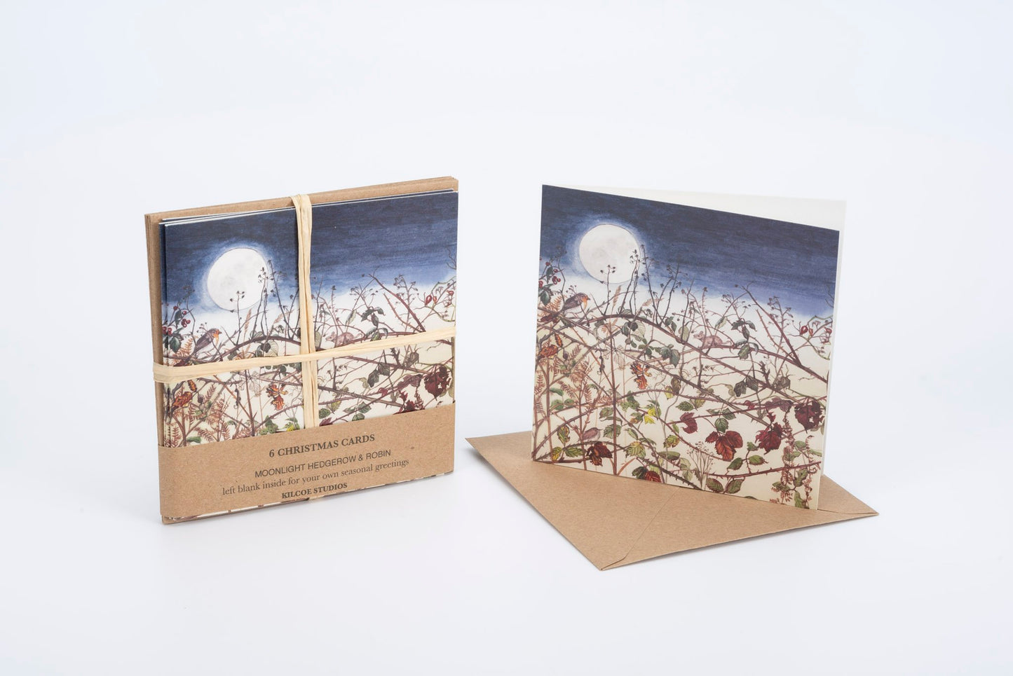 Moonlight Hedgerow Owl Christmas Cards