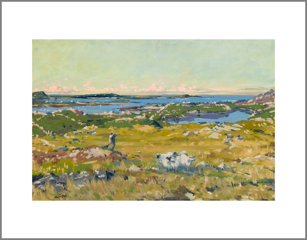 Early Morning, Connemara Canvas Print