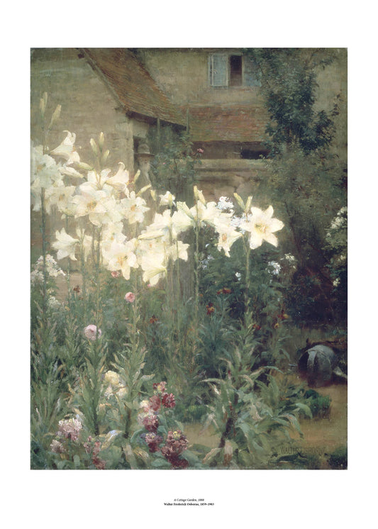 A garden at the back of a house with tall white lilies taking up most of the painting. The flowers almost seem to glow against the subdued greens and browns of the rest of the image. The painting is surrounded by a white border with its name and painter at bottom centre.