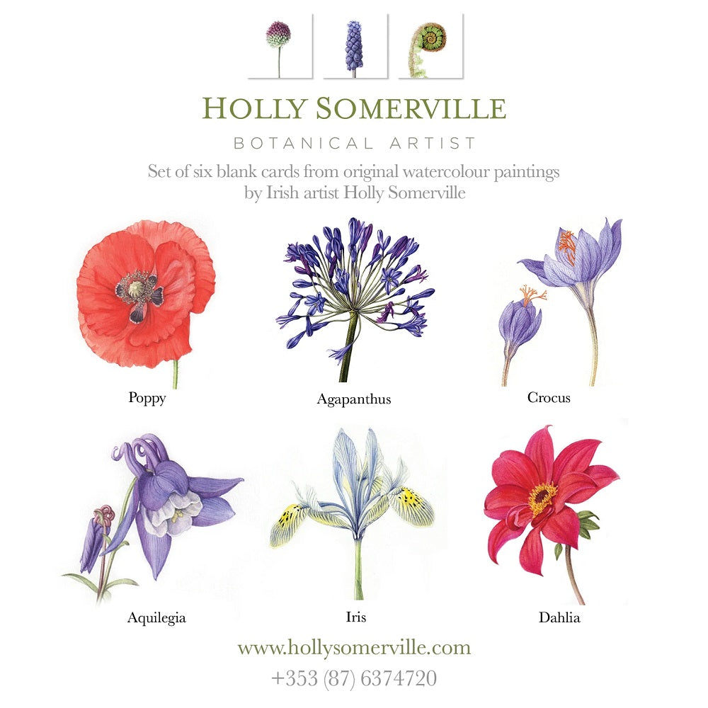 Garden Greeting Cards