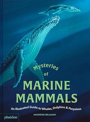 Mysteries of Marine Mammals: An Illustrated Guide to Whales, Dolphins, and Porpoises