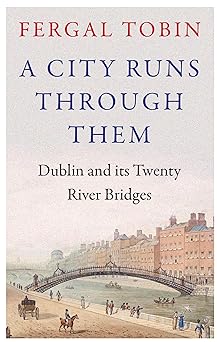 A City Runs Through Them: Dublin and its Twenty River Bridges