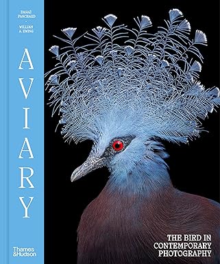 Aviary: The Bird in Contemporary Photography