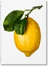 The Gourmand's Lemon. A Collection of Stories and Recipes