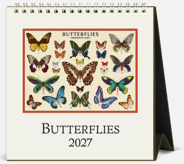 Butterflies Desk Calendar 2027