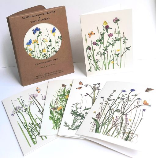 Butterfly and Wildflower 6 pack Greeting Cards- Kilcoe