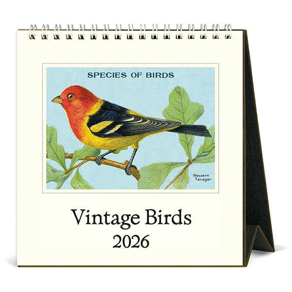 Birds Desk Calendar 2026