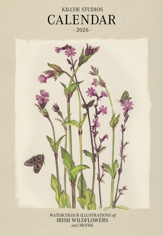 Native Irish Flowers & Moths Calendar 2026 - Kilcoe