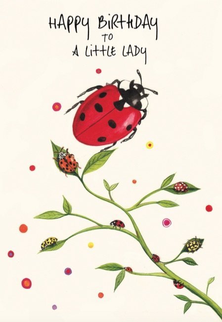 Ladybug Single Greeting Card -  Kilcoe