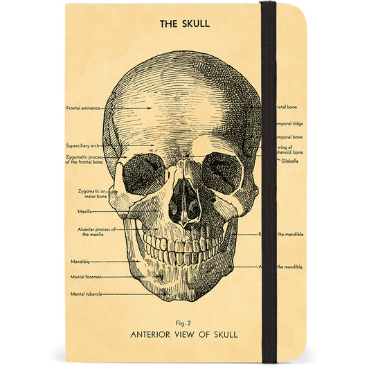 The Skull Notebook - CAVALLINI