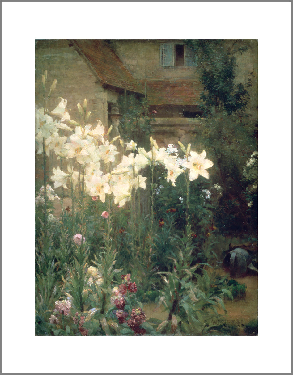 A garden at the back of a house with tall white lilies taking up most of the painting. The flowers almost seem to glow against the subdued greens and browns of the rest of the image.