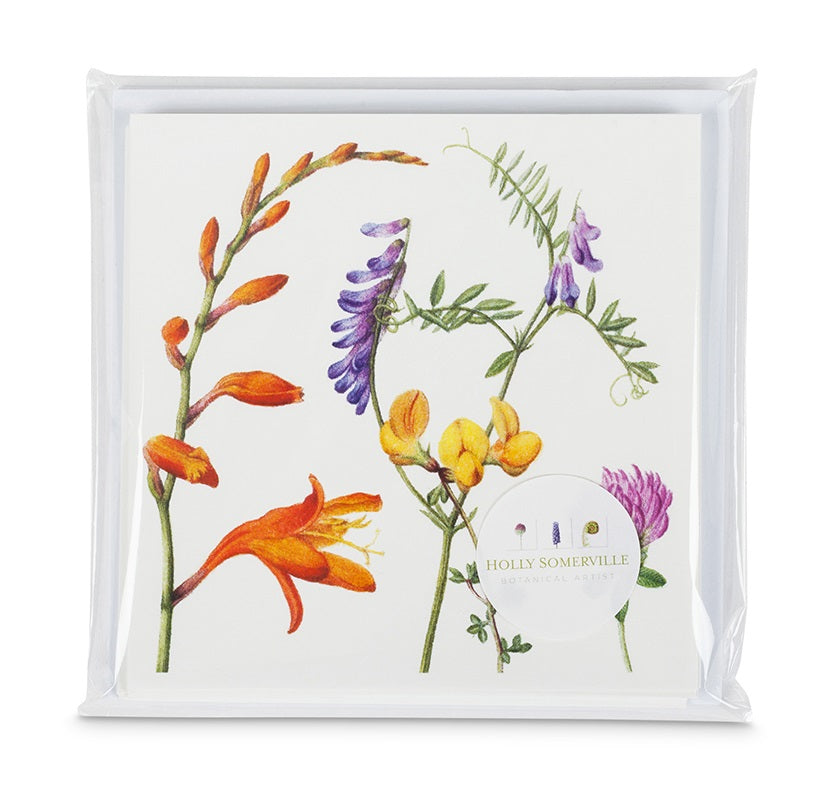 A clear wrapped pack of cards. The top image is a variety of painted flowers on a white background.