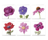 Six cards laid out flat, each with a different close up of a flower in full bloom against a white background: a rich purple magnolia, a dark purple pansy, a pink coneflower, a red anemone, a pink purple windflower, and a wine anemone.