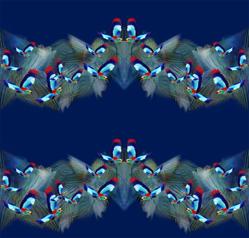 Blue Hummingbird Scrunchie