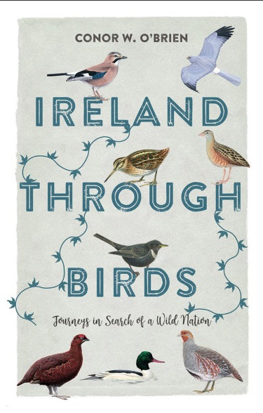 A pale, sage green cover with small illustrations of different birds scattered across the cover. The title takes up the most space going down the centre in deep teal letters.
