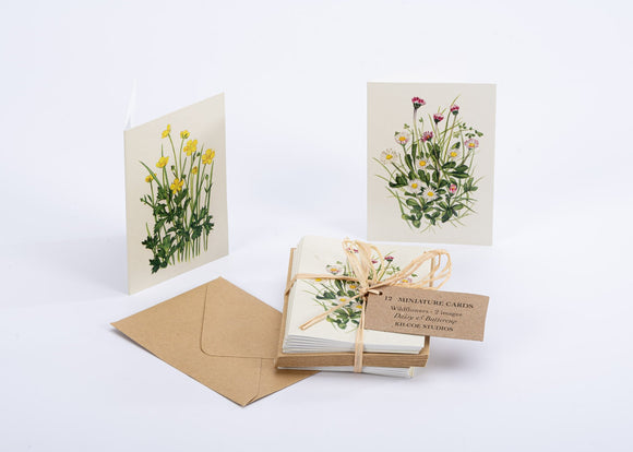 Mini Wildflower Greeting Cards - Daisy and Buttercup