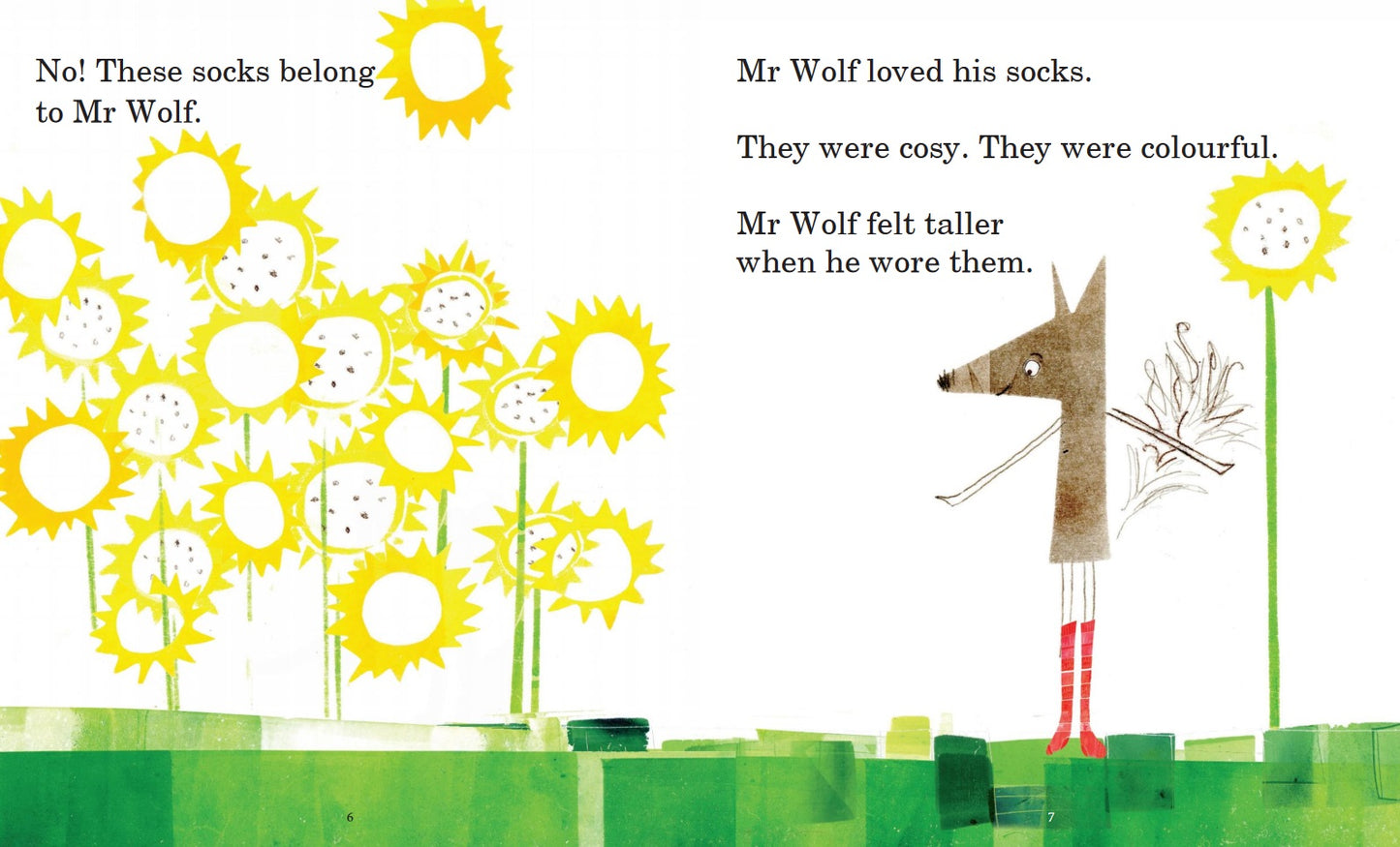 A two page spread from inside the book. The wolf is happily wearing red socks, standing in a field of tall yellow flowers. The describes how much he loves his socks.