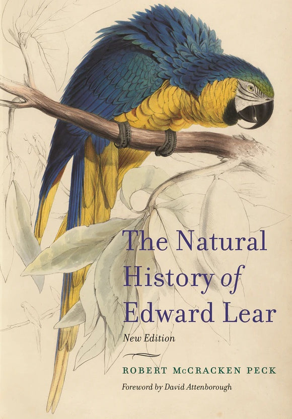 A cream cover with a realistic drawing of a blue and yellow parrot standing on a half sketched branch. The title is in the bottom right in thin navy letters.