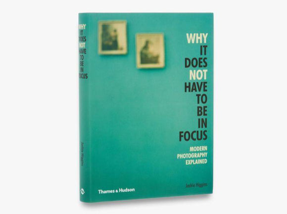 A sage green background with two small out of focus paintings in the top left. The title goes down along the full right side of the cover in black letters with ‘why’ and ‘not’ in white.