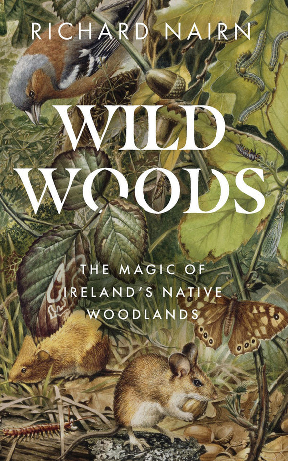 Detailed illustrations of leaves and grass with different animals and insects found in Irish woods scattered throughout. The title is in white capital letters in the centre.